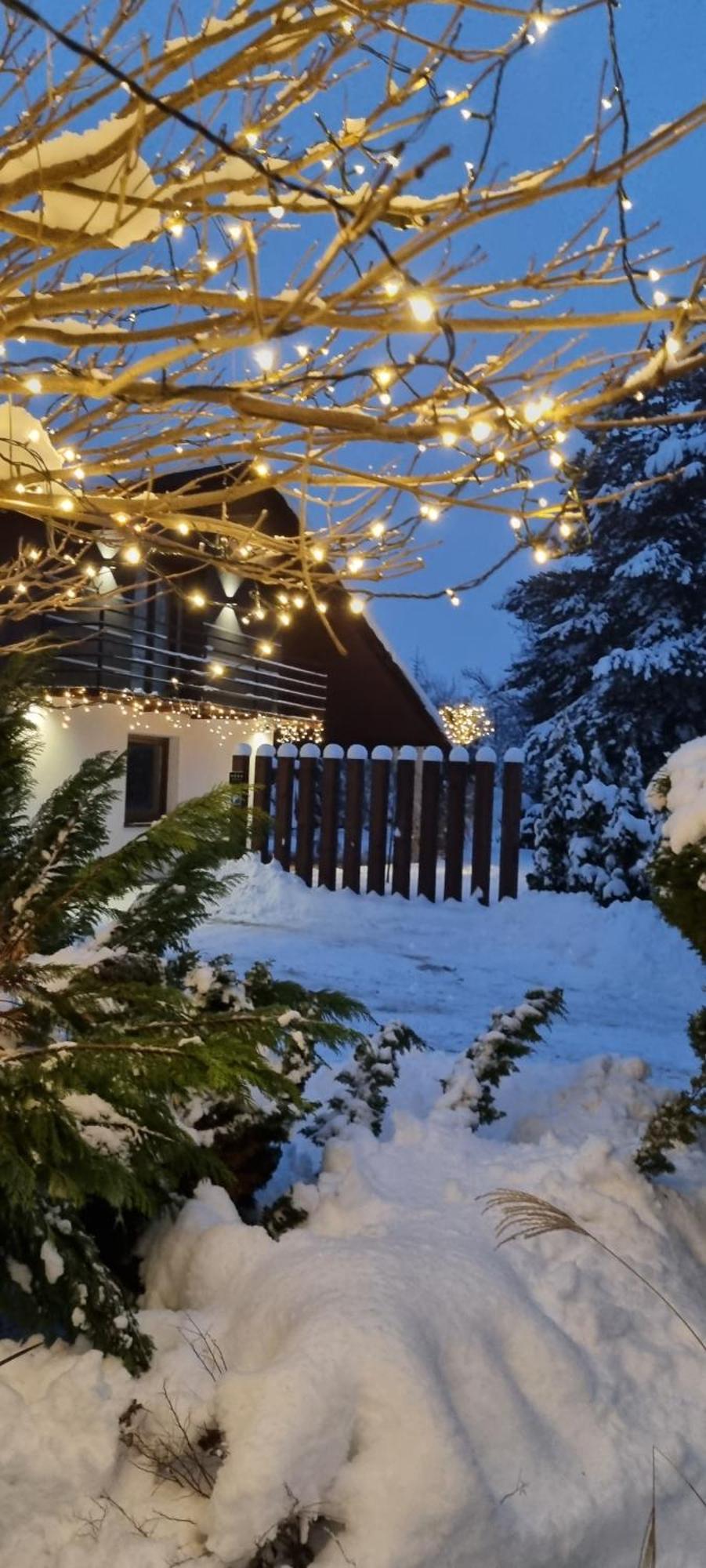 Apartament Willa Pod Sosnami Zator Przeciszow Buitenkant foto